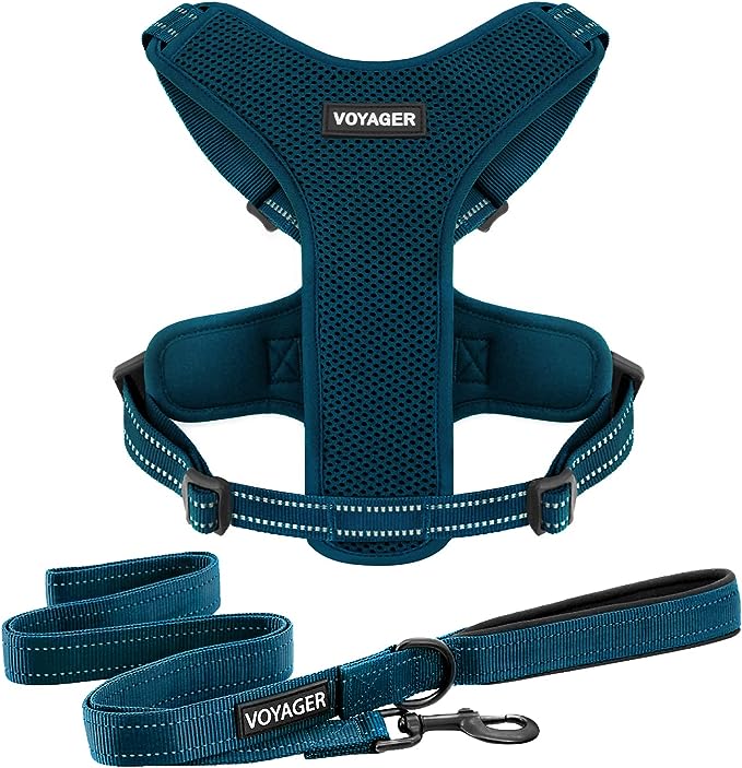 Chai's Choice Best Outdoor Adventure Dog Harness for Cane Corso